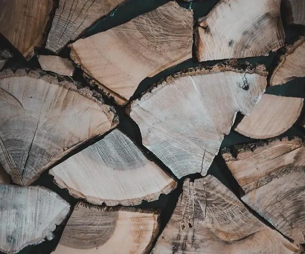 בית אירוח Plazowianka