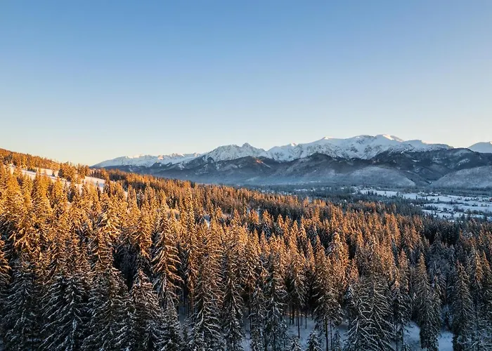 בית אירוח Plazowianka Witów