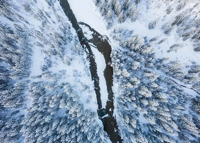 Plazowianka בית אירוח Witów